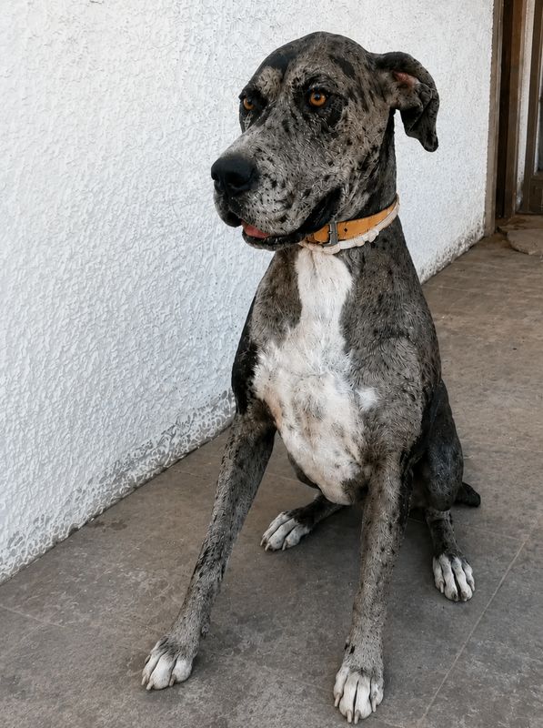 Hera está perdida